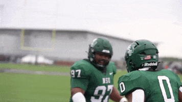 Football GIF by RiverHawk Sports