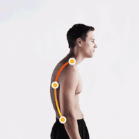 betterback GIF by Product Hunt