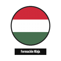 Hungary Flag Sticker by Formación Ninja