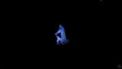 Wonder Pump GIF by morgxn
