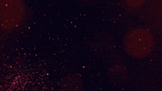 Vintage Album GIF by Elise LeGrow