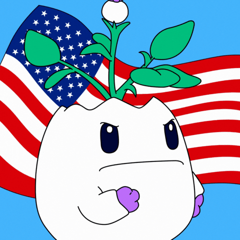 United States Nod GIF by Magic Eden