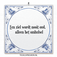 Spirit Nl GIF by Tegelspreuken.nl