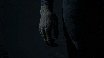 bandainamco horror scary bats sailor GIF