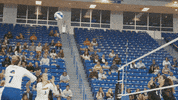 ncaa sports sport GIF by Delaware Blue Hens