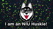 niu huskies GIF by Northern Illinois University