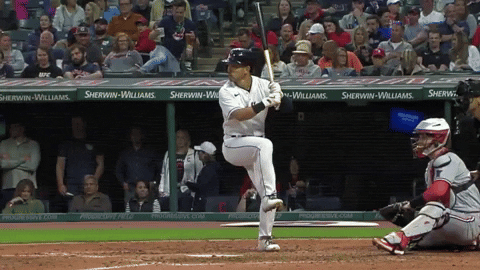 tesstass giphyupload GIF