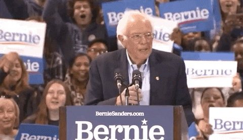 Bernie Sanders Rally GIF