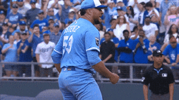 Lets Go Yes GIF by Kansas City Royals