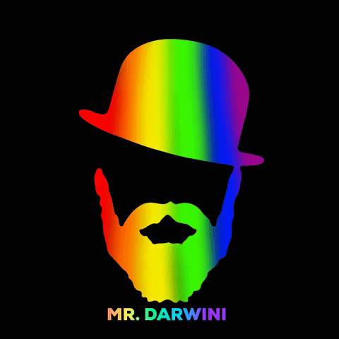 mrdarwini giphygifmaker pride beard mr GIF