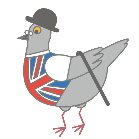 tomokonagata giphyupload bird hat london Sticker