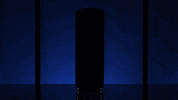 Celebrate Super Bass GIF by Socialize