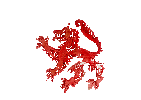 Wolf Bayern Sticker by Isarsparer