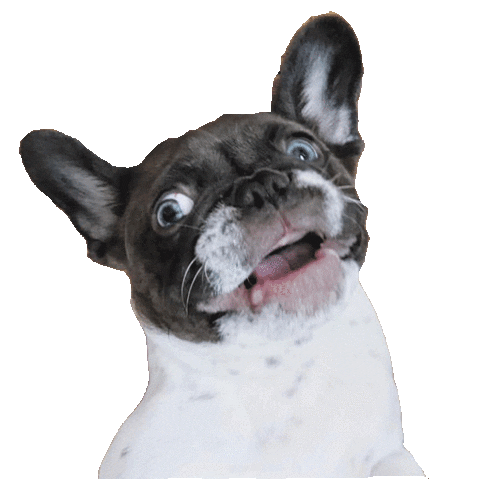 dog puppy Sticker by Roundhouse