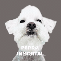 wawawropaperros wawaw GIF