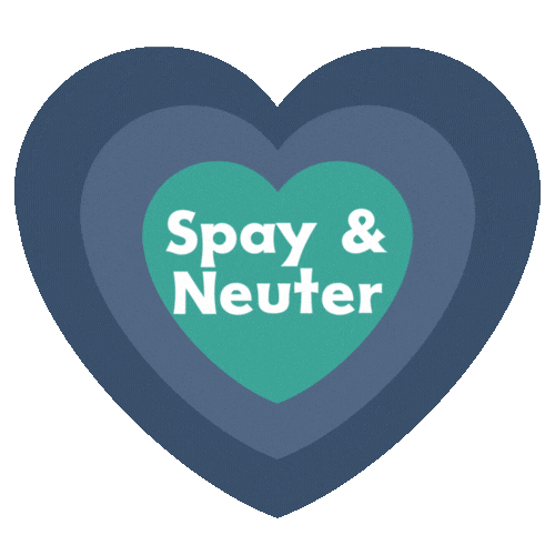 Spay Spaying Sticker by Big Paws of the Ozarks