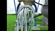 ExperimenMeatGrinder reaction funny dog meat GIF