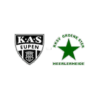 Sport Heerlen Sticker by Groene ster