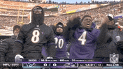 National Football League GIF by NFL