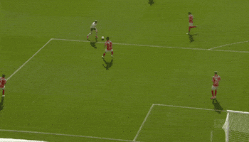 Goal Bundesliga GIF by Holstein Kiel