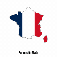 France Flag GIF by Formación Ninja