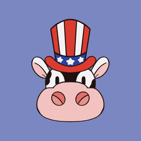 Independence Day America GIF by tulipartcafe