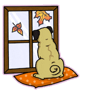 Halloween Fall Sticker by Livia Farkas @ urban:eve