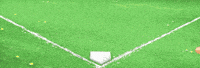 Baseball Backyardbaseball GIF by BACKYARD SPORTS