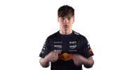 Red Bull Sr Sticker by Oracle Red Bull Racing