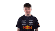 Red Bull Sr Sticker by Oracle Red Bull Racing