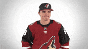 Ice Hockey No GIF by NHL