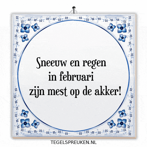 Humor Wijsheid GIF by Tegelspreuken.nl