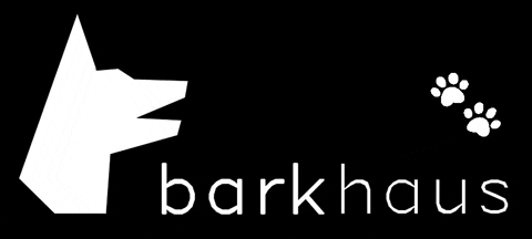 barkhaus giphyattribution dogs black dog dog bar GIF