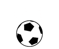 Party Winner Sticker by Kreisligafußball