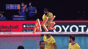 Serve Take That GIF by Volleyball World