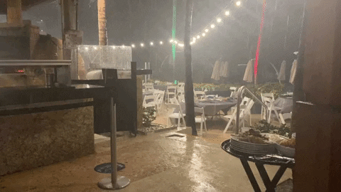 leslieveliz giphyupload GIF