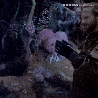Science Fiction Film GIF by Arrow Video