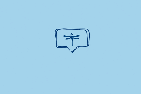 dragonfly love GIF by bartacolife