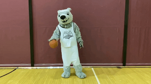 Game Time Basketball GIF by Cardinal Stritch University