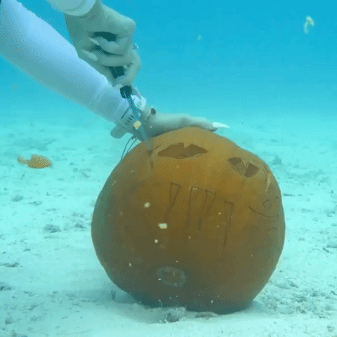 Florida Divers Carve Underwater Pumpkins