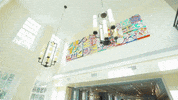Norman Hall Uf GIF by University of Florida College of Education