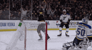 happy 2019 stanley cup finals GIF by NHL