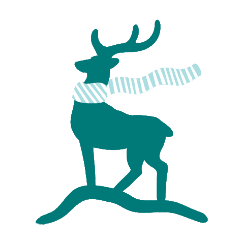 logo winter Sticker by Borjomi