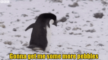 penguins GIF
