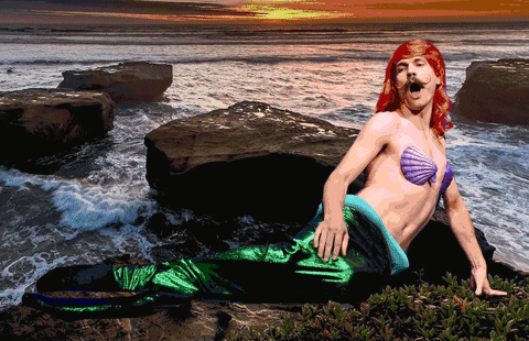 little mermaid wtf GIF by Sethward