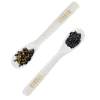 CaviarSturia gourmet caviar gastronomy gourmet food Sticker