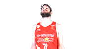 Basketball Kldragons Sticker by kualalumpurdragons