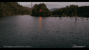 thebridgeau thebridgeau thebridgeaustralia tbau bridgeaustralia GIF