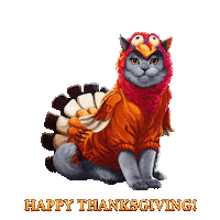 Pet Shop Cat Sticker by G5 games