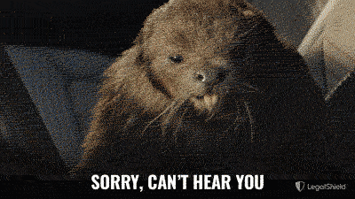 LegalShield giphyupload sorry beaver sorrynotsorry GIF